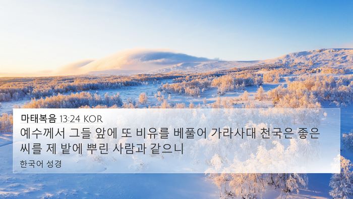 마태복음 13:24 KOR Bible Verse Image