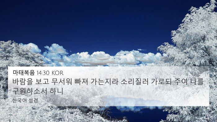 마태복음 14:30 KOR Bible Verse Image