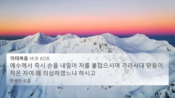 마태복음 14:31 KOR Bible Verse Image