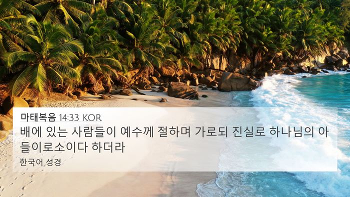 마태복음 14:33 KOR Bible Verse Image
