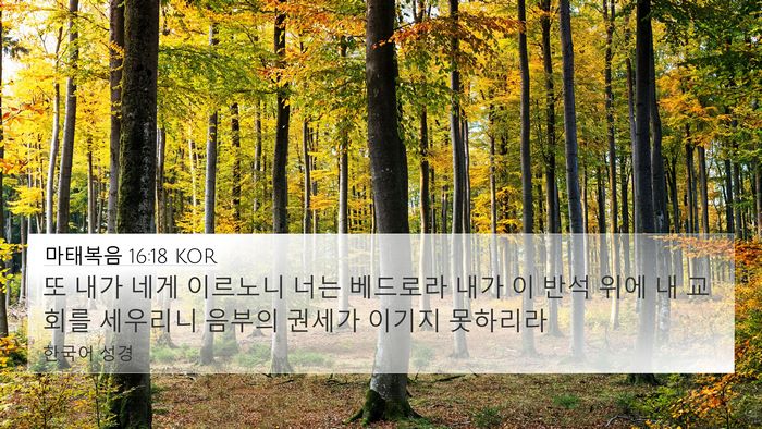 마태복음 16:18 KOR Bible Verse Image