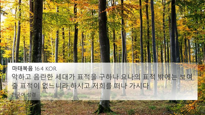 마태복음 16:4 KOR Bible Verse Image