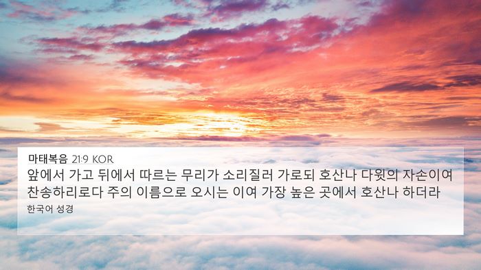 마태복음 21:9 KOR Bible Verse Image