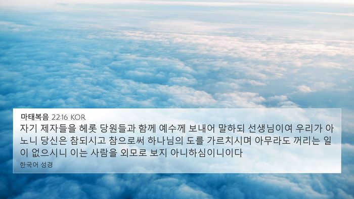 마태복음 22:16 KOR Bible Verse Image