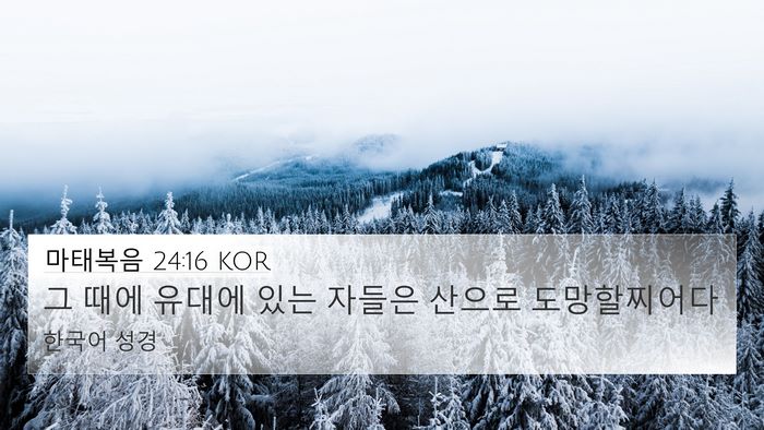 마태복음 24:16 KOR Bible Verse Image