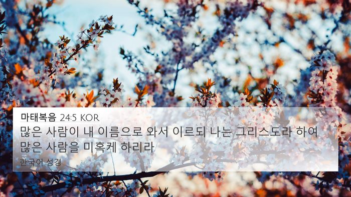마태복음 24:5 KOR Bible Verse Image
