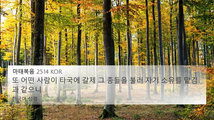 마태복음 25:14 KOR Bible Verse Image