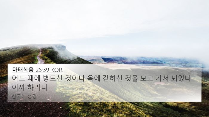 마태복음 25:39 KOR 4K Wallpaper - 어느 때에 병드신 것이나 옥에 - 4K Wallpaper Bible Verse