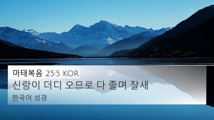 마태복음 25:5 KOR 4K Wallpaper - 신랑이 더디 오므로 다 졸며 - 4K Wallpaper Bible Verse