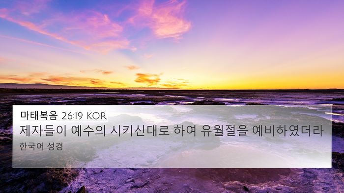 마태복음 26:19 KOR Bible Verse Image