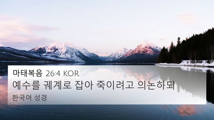 마태복음 26:4 KOR Bible Verse Image