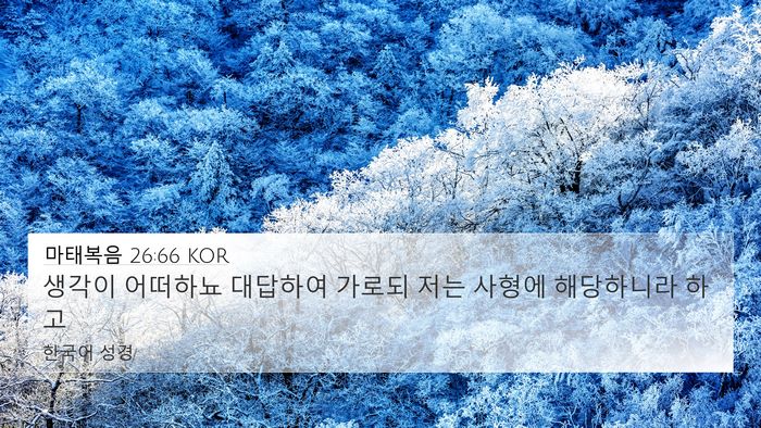 마태복음 26:66 KOR Bible Verse Image