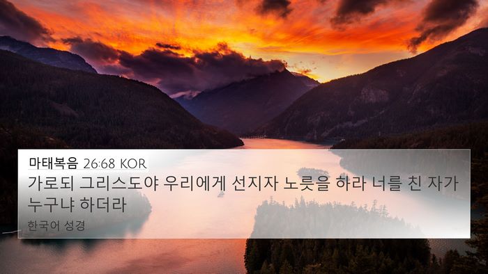 마태복음 26:68 KOR Bible Verse Image
