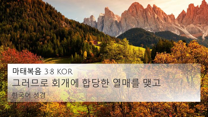 마태복음 3:8 KOR 4K Wallpaper - 그러므로 회개에 합당한 열매를 - 4K Wallpaper Bible Verse