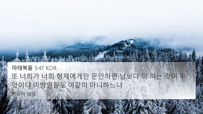 마태복음 5:47 KOR Bible Verse Image