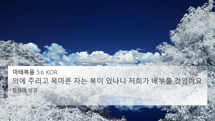 마태복음 5:6 KOR Bible Verse Image