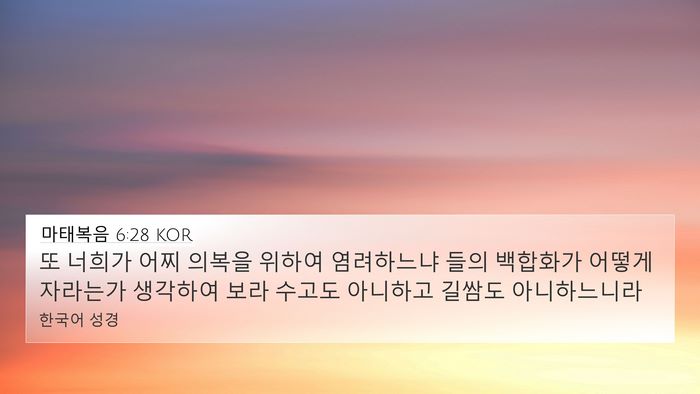 마태복음 6:28 KOR Bible Verse Image