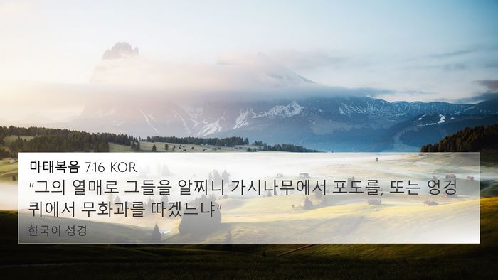 마태복음 7:16 KOR Bible Verse Image