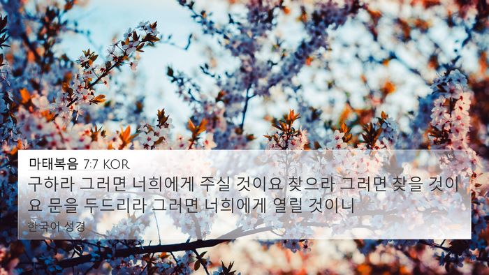 마태복음 7:7 KOR Bible Verse Image