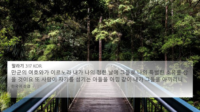 말라기 3:17 KOR Bible Verse Image