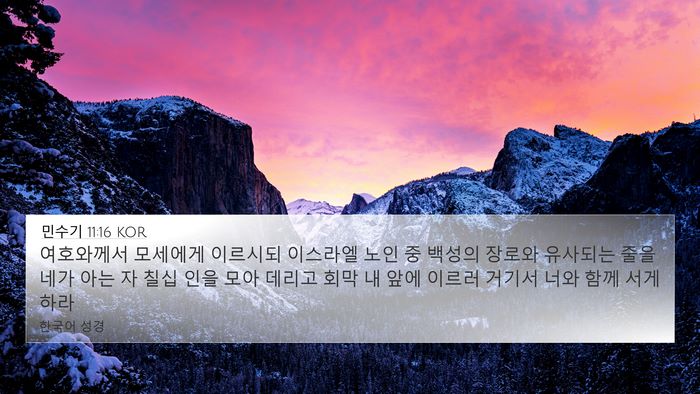 민수기 11:16 KOR Bible Verse Image