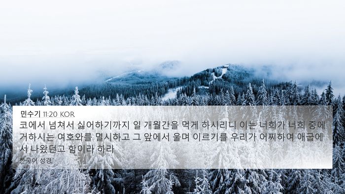 민수기 11:20 KOR Bible Verse Image