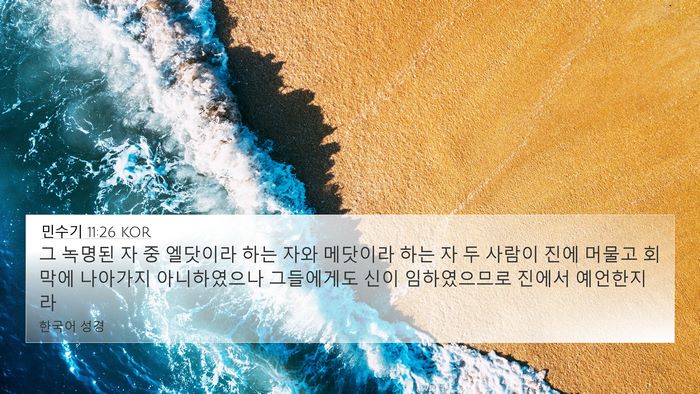 민수기 11:26 KOR Bible Verse Image