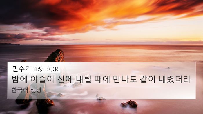민수기 11:9 KOR Bible Verse Image
