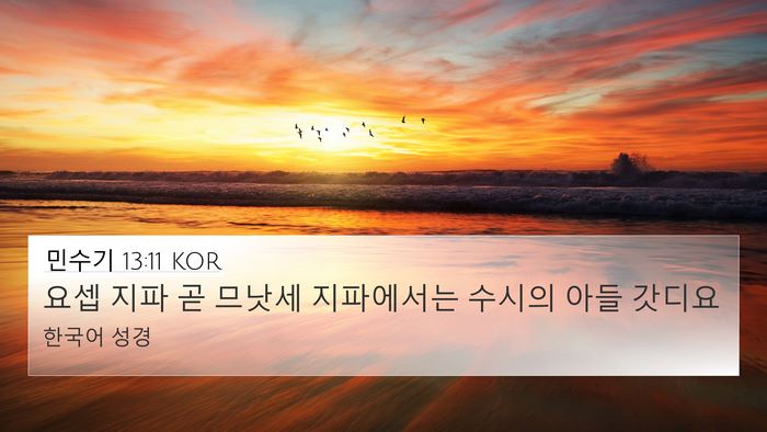 민수기 13:11 KOR Bible Verse Image