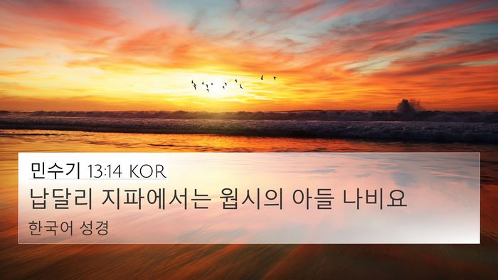 민수기 13:14 KOR 4K Wallpaper - 납달리 지파에서는 웝시의 아들 - 4K Wallpaper Bible Verse