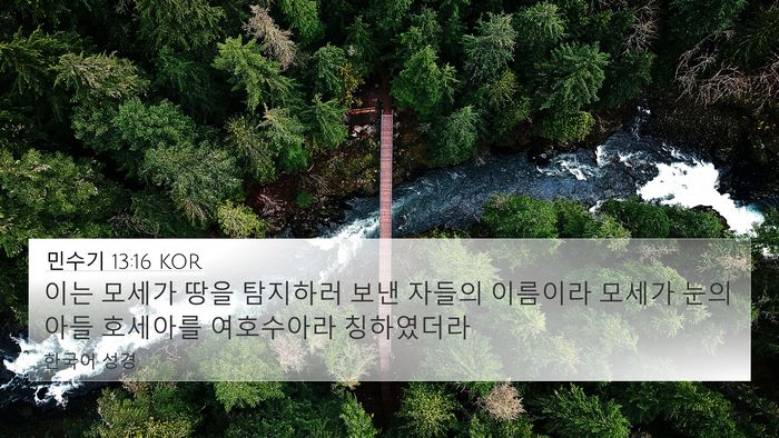 민수기 13:16 KOR Bible Verse Image
