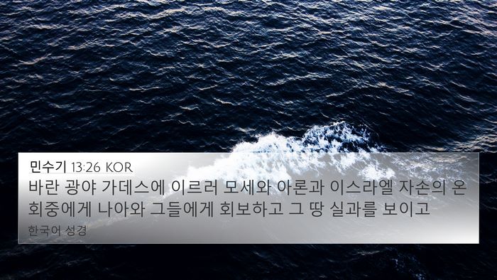 민수기 13:26 KOR Bible Verse Image