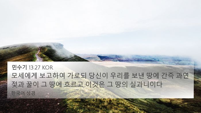민수기 13:27 KOR Bible Verse Image