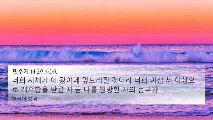 민수기 14:29 KOR Bible Verse Image