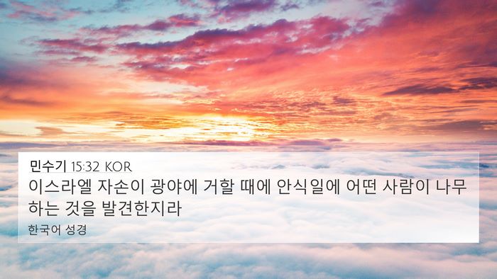 민수기 15:32 KOR 4K Wallpaper - 이스라엘 자손이 광야에 거할 때에 - 4K Wallpaper Bible Verse