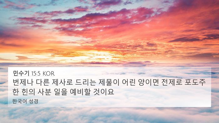 민수기 15:5 KOR Bible Verse Image