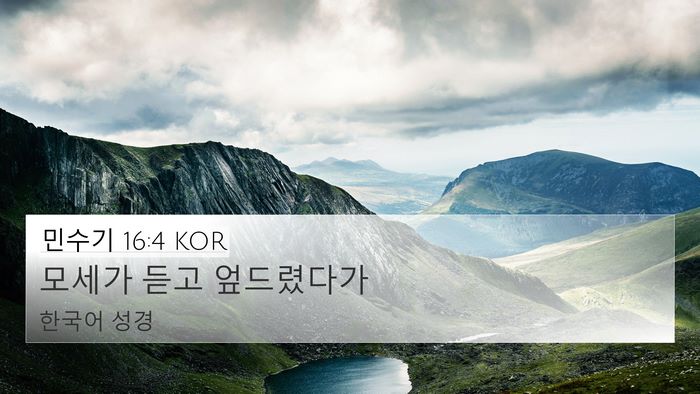 민수기 16:4 KOR 4K Wallpaper - 모세가 듣고 - 4K Wallpaper Bible Verse