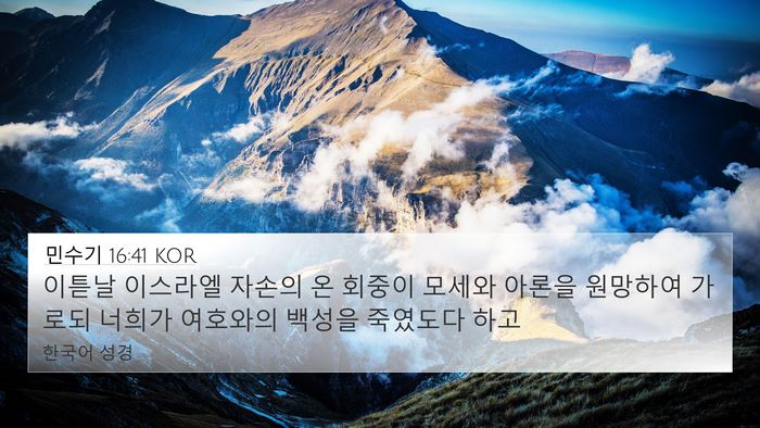 민수기 16:41 KOR Bible Verse Image