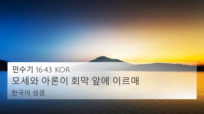 민수기 16:43 KOR Bible Verse Image