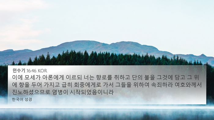 민수기 16:46 KOR Bible Verse Image