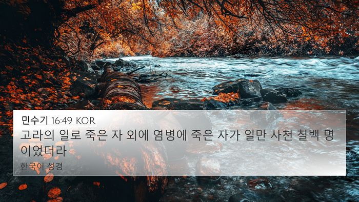 민수기 16:49 KOR Bible Verse Image