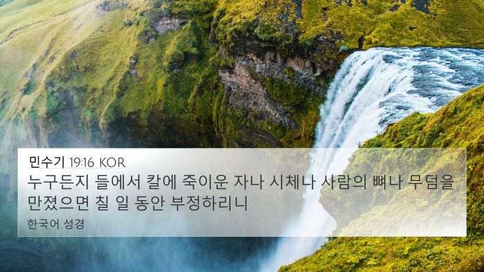 민수기 19:16 KOR Bible Verse Image