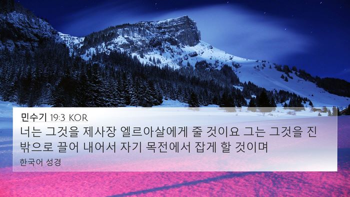민수기 19:3 KOR Bible Verse Image