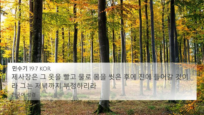 민수기 19:7 KOR Bible Verse Image