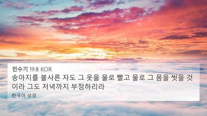 민수기 19:8 KOR Bible Verse Image