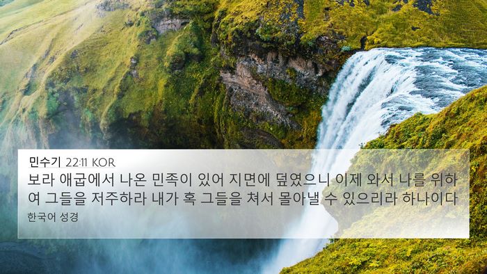 민수기 22:11 KOR 4K Wallpaper - 보라 애굽에서 나온 민족이 있어 - 4K Wallpaper Bible Verse