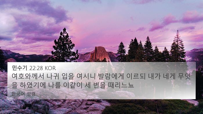 민수기 22:28 KOR Bible Verse Image