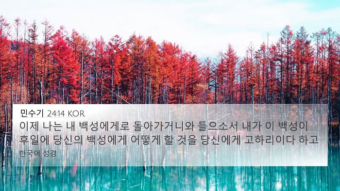 민수기 24:14 KOR Bible Verse Image