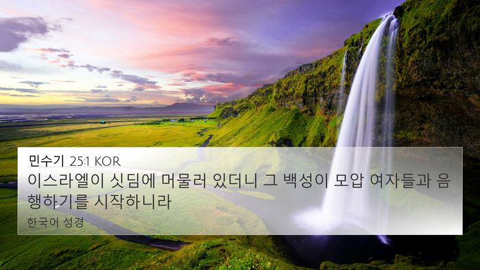 민수기 25:1 KOR Bible Verse Image