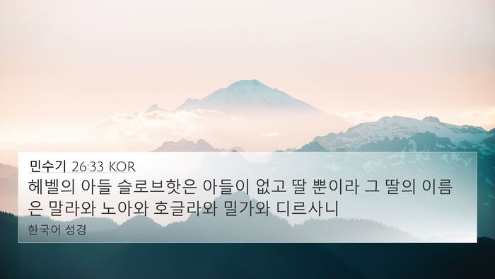 민수기 26:33 KOR Bible Verse Image